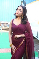 Catherine Tresa at Karikaala Pooja Ceremony